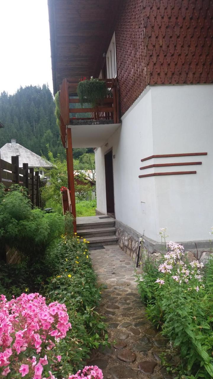 Casa De Vacanta Joldes Hotel Girda de Sus Exterior photo